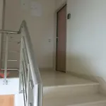 Appartement Oly *